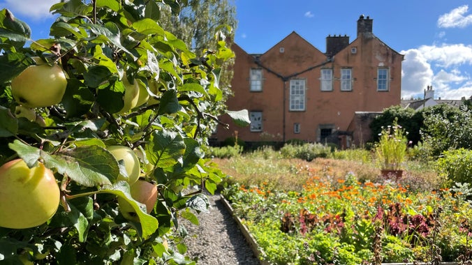 View of the garden towards the house with fully laden apple trees in the foreground on a sunny day